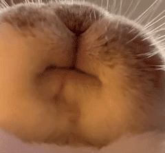 阳阳💕晚上见主播照片