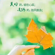 本是清风客海报