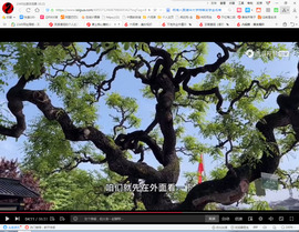 保利哥主播照片