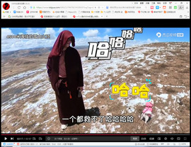 保利哥主播照片