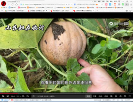 保利哥主播照片