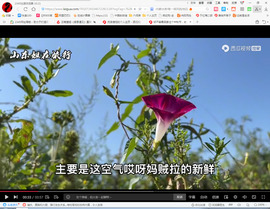 保利哥主播照片
