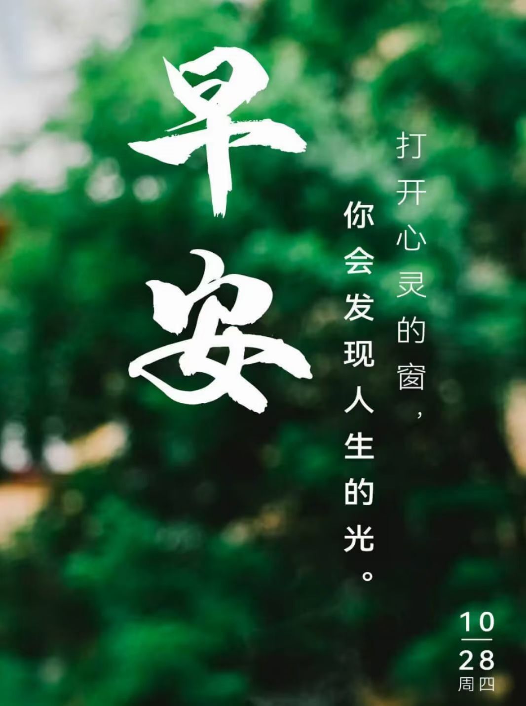 安琪同学的图片