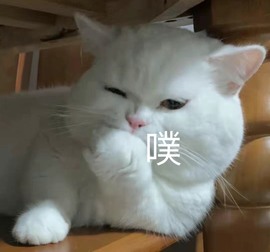 bye～主播照片