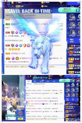 心中无结。。主播照片