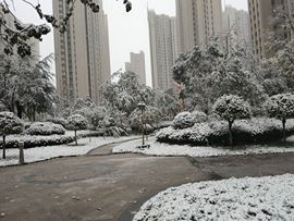 新人小糖宝求守护主播照片