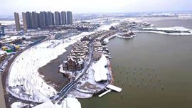 雪菜♫好运好运旺主播照片