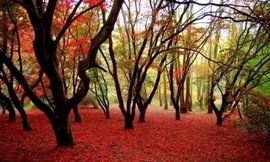 დ释怀დ主播照片