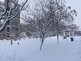 小雅代理ღ好运来主播照片