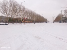 小雅代理ღ好运来主播照片