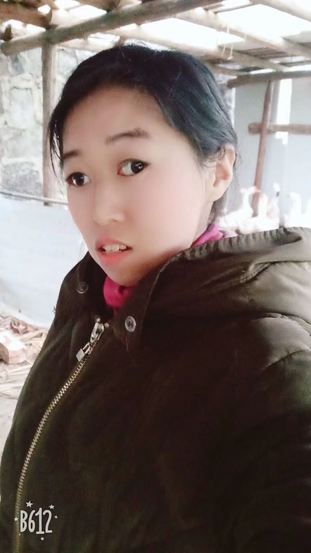 果果(平安好运)的图片