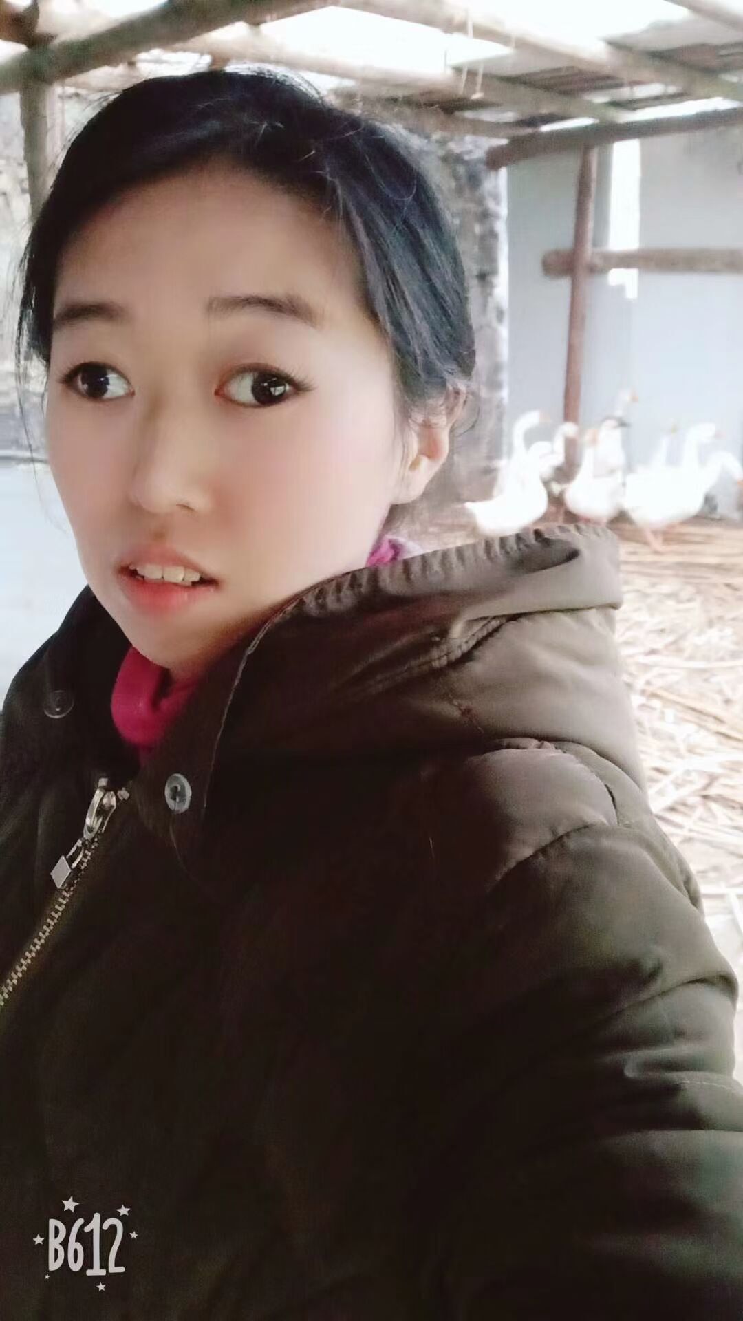 果果(平安好运)的图片