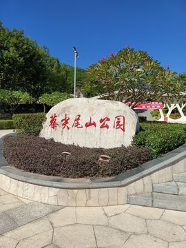 萝卜青菜eo主播照片