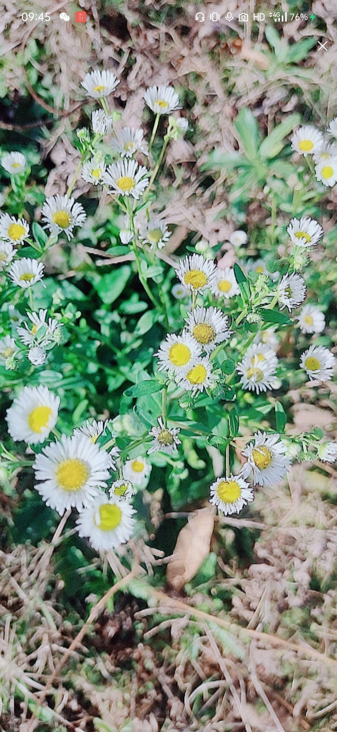 婷婷💕感恩有你陪伴的图片