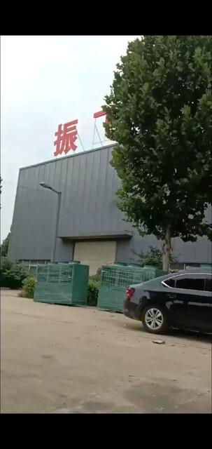 振飞