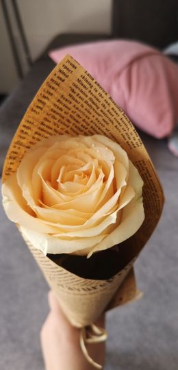 吻吻💋祝端午安康主播照片