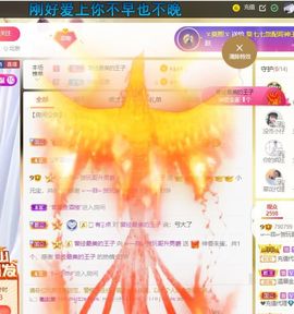 🔥！！！！主播照片