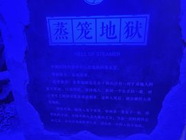 送朵花插坟头上主播照片