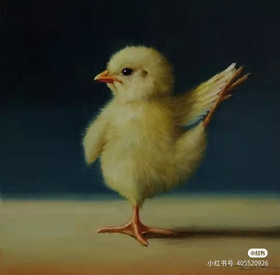 丑小鸭💞愿有一束光的图片