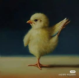 鸭鸭宝我耐你哈哈哈的图片