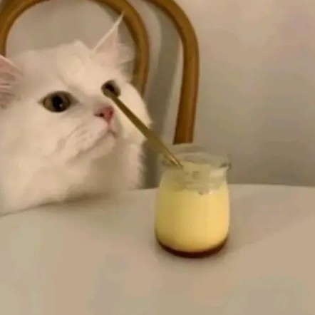 鱼玄机qaq的主播照片