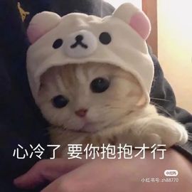 一树梨花压海唐同学☞主播照片