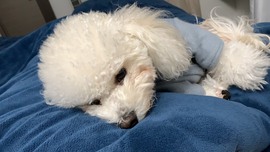 退网了，谢谢大家关心主播照片