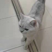 JoYii__