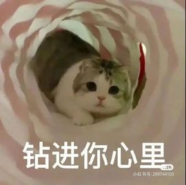 一树梨花压海唐同学☞主播照片