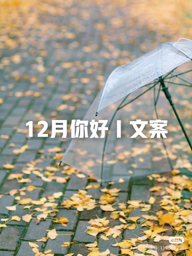 ✨安安✨……主播图片