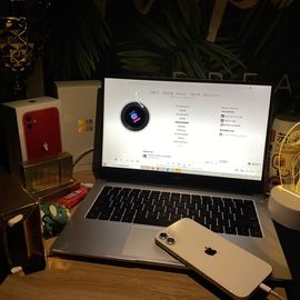 苦情种的图片