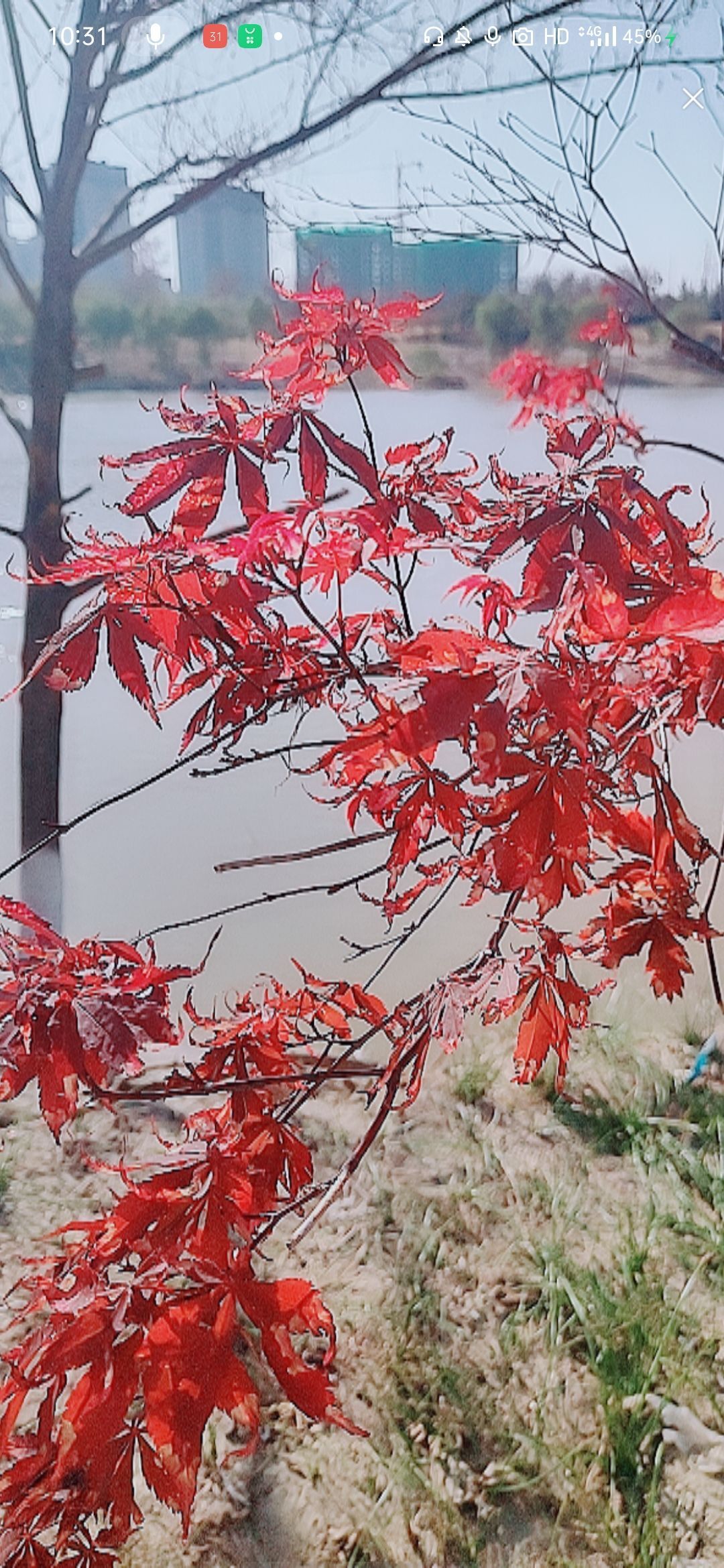 婷婷💕感恩有你陪伴的图片
