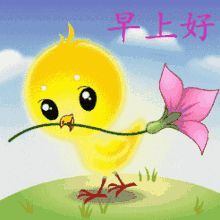 ☂客家甜心金牌代理☂的图片