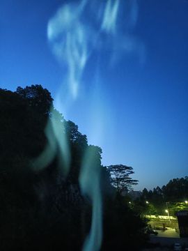葬花千羽，终有一别主播照片