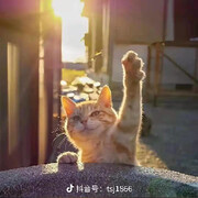 老公.老公.老公头像