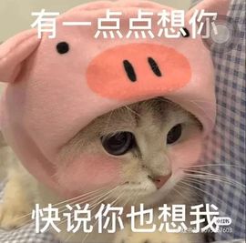 一树梨花压海唐同学☞主播照片