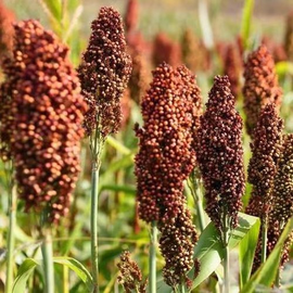 დ释怀დ主播照片