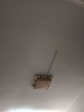 👑䒕暖宝好运旺旺旺主播照片