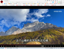 保利哥主播照片