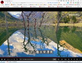 保利哥主播照片