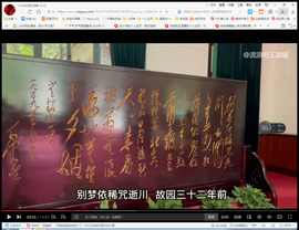 保利哥主播照片
