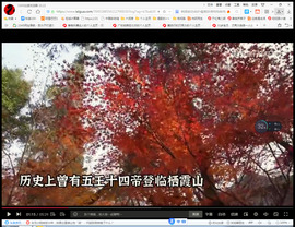 保利哥主播照片