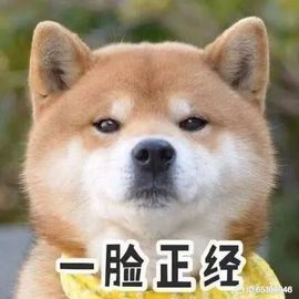 乚亅.的图片