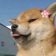 星辰、大海的头像