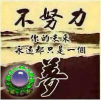 此栏省略主播照片