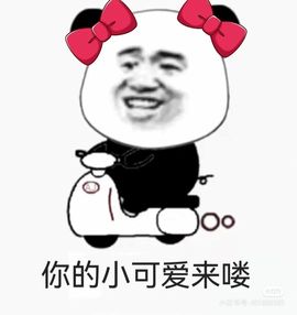 一树梨花压海唐同学☞主播照片