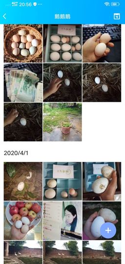 果果(平安好运)主播照片