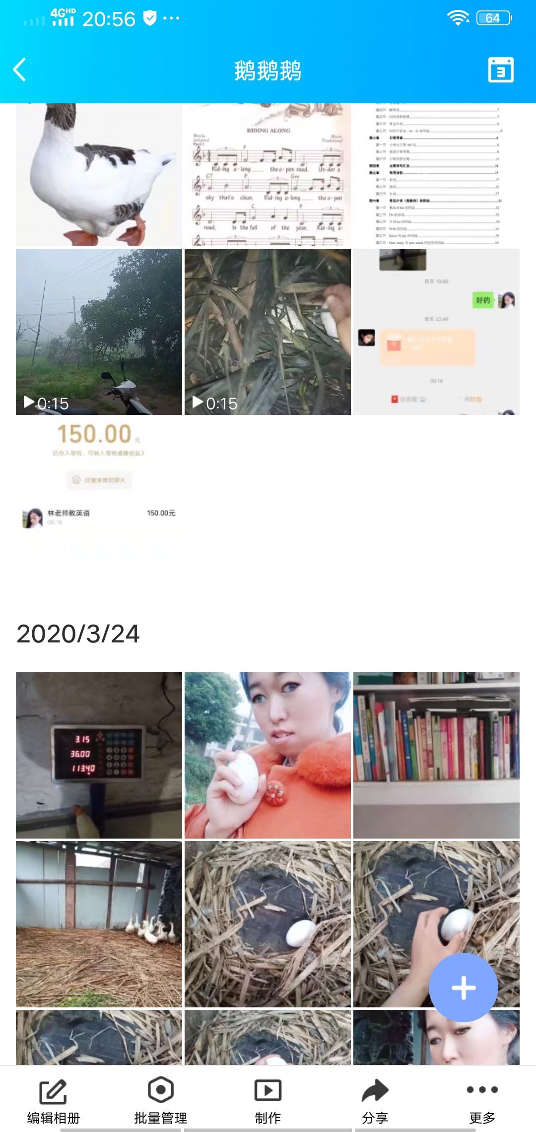 果果(平安好运)的图片