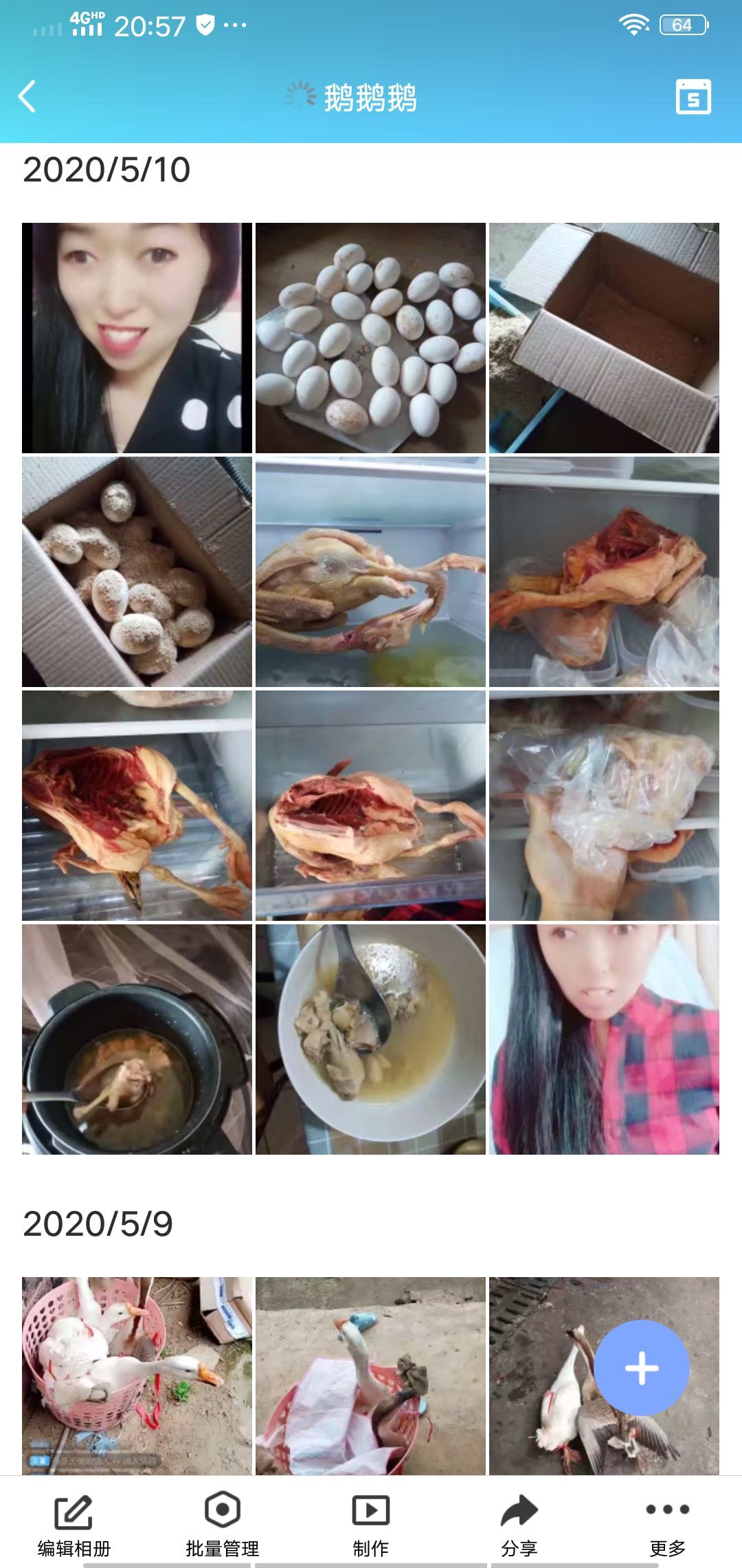 果果(平安好运)的图片