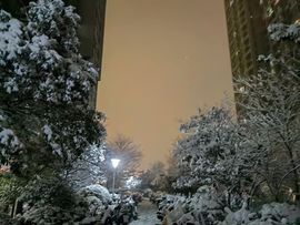羊zybj主播照片